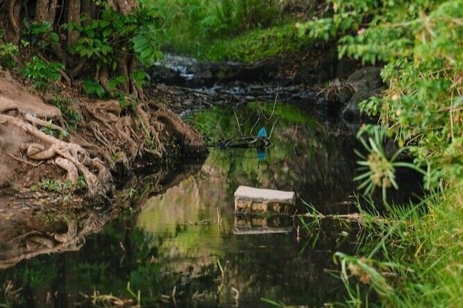 a river in malawi that used to be used to draw drinking water