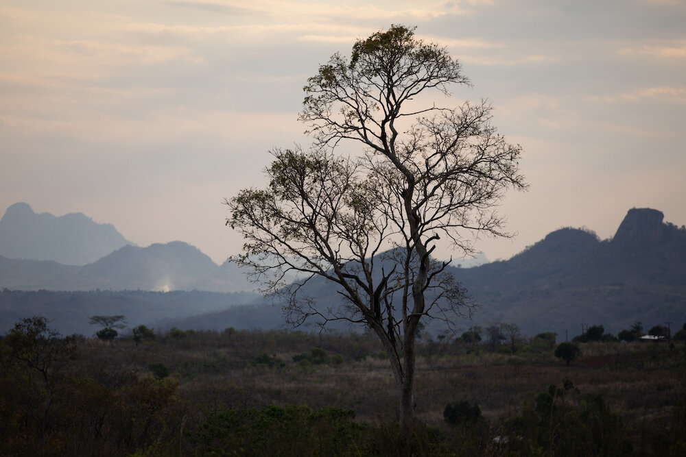 malawi landscape