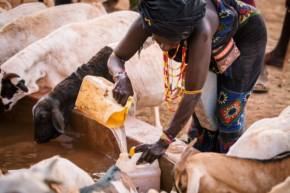 woman drawing water from a source shared with animals
