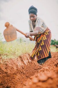 A woman tilling the soil