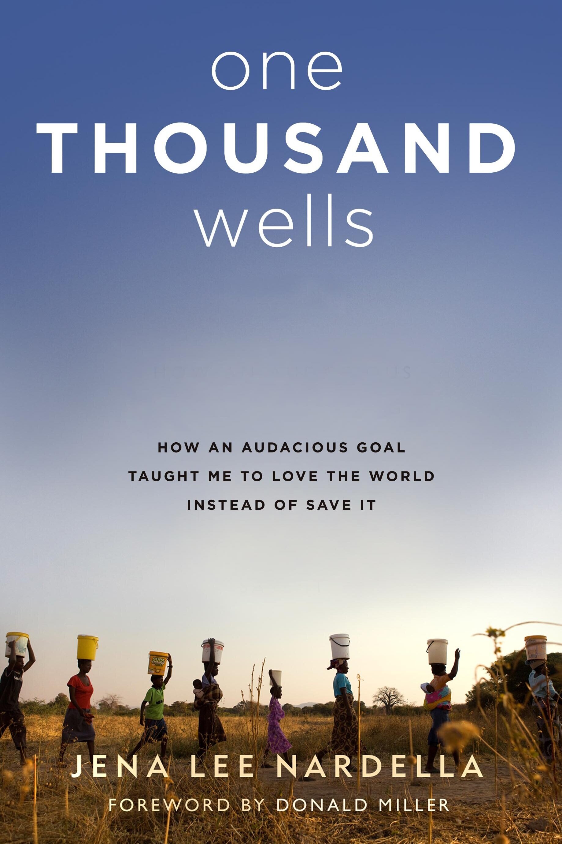 One Thousand Wells book cover